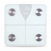 Salente SlimFit, chytrá osobní diagnostická fitness váha, Bluetooth, bílá