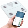 Salente SlimFit, chytrá osobní diagnostická fitness váha, Bluetooth, bílá
