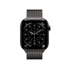 Apple Watch S11 Cell/42/Elegant Band/Slate
