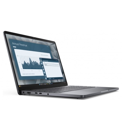 Dell Pro 14/PC14255/R5-220/14"/WUXGA/8GB/512GB/AMD int/W11P/Gray/3R NBD