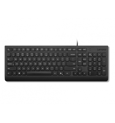 Lenovo Essential Wired Keyboard/Drátové USB-A/RU/Černá