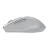 ASUS WT425/Ergonomická/Optická/Pro praváky/1 600 DPI/Bezdrátové USB/Stříbrná