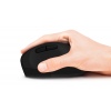 EVOLVEO LadyErgo, tichá vertikální ergonomická