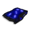 EVOLVEO Ania 5, chladicí podložka pro notebook, 5x ventilátor, modré podsvícení