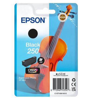 Epson Singlepack Black 250 ink