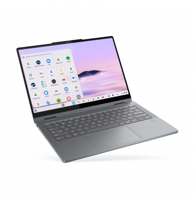 Lenovo Chrome 2in1/14ITN10/3-N355/14"/WUXGA/T/8GB/128GB/Intel int/Chrome/Gray/2R