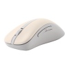 ASUS Wireless Mouse MD102/Kancelářská/Optická/Pro praváky/1 600 DPI/USB+BT/Béžová