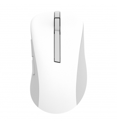 ASUS Wireless Mouse MD102/Kancelářská/Optická/Pro praváky/1 600 DPI/USB+BT/Bílá