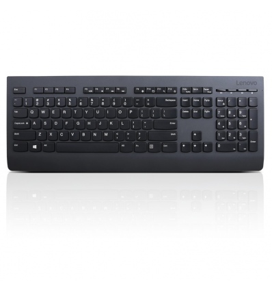 Lenovo Professional Wireless Keyboard/Bezdrátové USB/CZ/SK/Černá