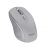 Myš C-TECH WLM-12, BT5.0 + 2,4GHz, šedá