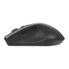 ASUS WT425/Ergonomická/Optická/Pro praváky/1 600 DPI/Bezdrátové USB/Šedá
