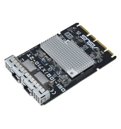 ASUS OEI-10G/X710-2T