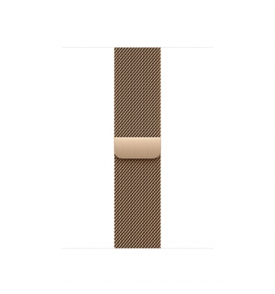 Watch Acc/42/Gold Milanese&nbsp;Loop