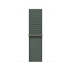 Watch Acc/46/Sage Sport Loop