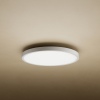 Xiaomi Mi Smart LED Ceiling Light D20