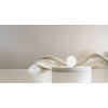 Xiaomi Mi Smart LED Ceiling Light D20