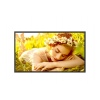 32" LG LED 32UL5 - FHD,500cd,VA,24/7