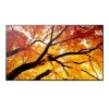 86" LCD SHARP M862,3840x2160,IPS,24/7,500cd