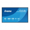 43" iiyama LH4366UHSB-B1AG:4K UHD,VA,IPX5,DP-out