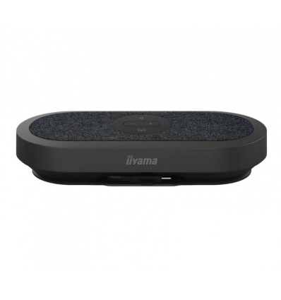 iiyama - mic and speaker