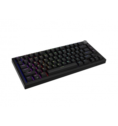 Herní mechanická klávesnice Genesis THOR 404/GenX Stratos Silent/Drátové USB-A/US/Černá