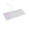 Herní mechanická klávesnice Genesis THOR 404/GenX Stratos Silent/Drátové USB-A/US/Bílá