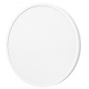 Xiaomi Mi Smart LED Ceiling Light D40