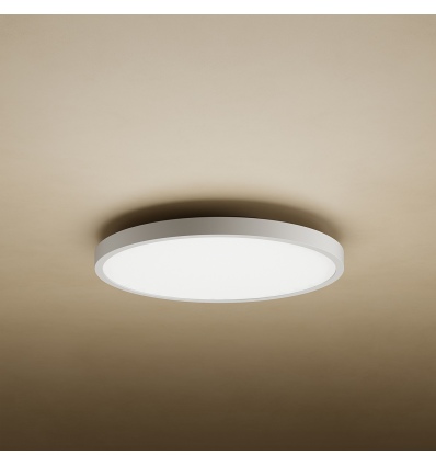 Xiaomi Mi Smart LED Ceiling Light D20