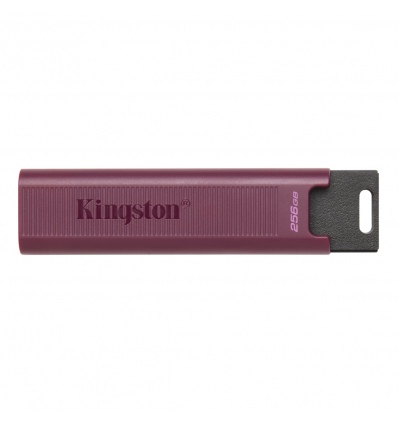 256GB Kingston DT Max USB-A 3.2 gen. 2