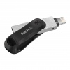 SanDisk iXpand Flash Drive Go/256GB/300MBps/USB 3.0/Lightning + USB-A/Černá