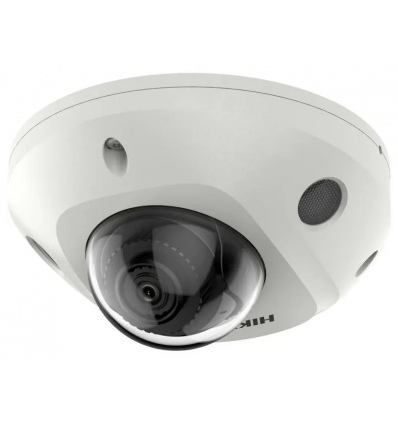 Hikvision DS-2CD2543G2-I(2.8mm) - 4MPix IP Mini Dome kamera IR 30m, Mikrofon, IP67