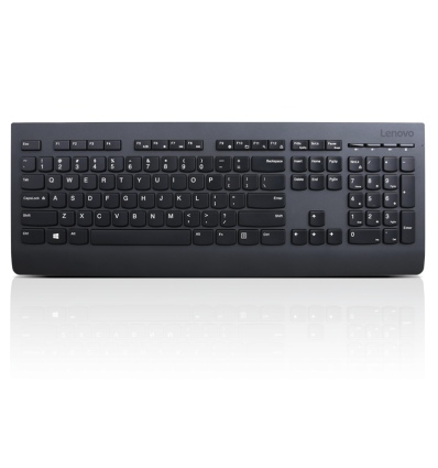 Lenovo Professional Wireless Keyboard and Mouse Combo - Czech
