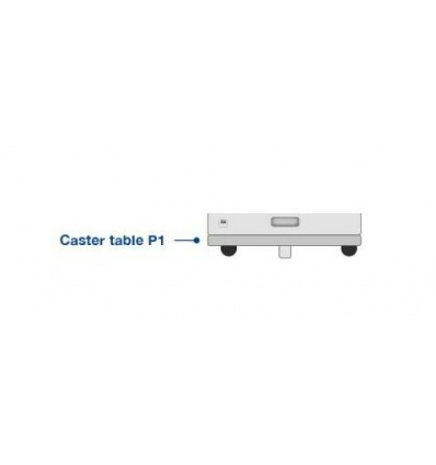 Epson Caster Table-P1