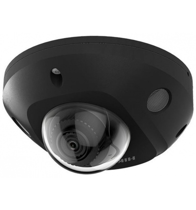Hikvision DS-2CD2546G2-IS(2.8mm)(C)(BLACK) - 4MPix IP Mini Dome AcuSense kamera IR 30m, IP67, Audio, Alarm, černá