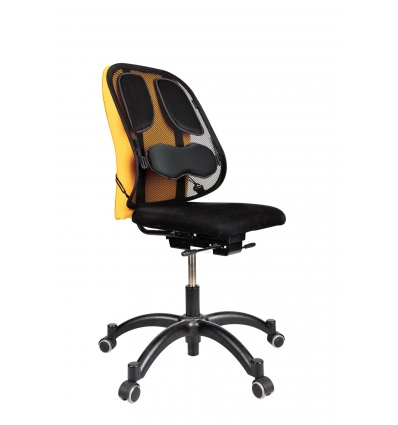 Fellowes Zádová opěrka Profesional síťovaná