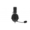 Endorfy Viro Plus/USB/Černá