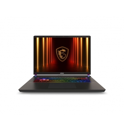 MSI Vector/17 HX AI A2XWHG-035CZ/U9-275HX/17"/2560x1600/32GB/2TB SSD/RTX 5070Ti/W11H/Gray/2R