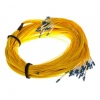 XtendLan FO konektorovaný kabel LC-LC 3m 9/125, 12 vláken,LS0H, G.652d, průměr 12.5mm, vývody 50 cm s průměrem 2mm