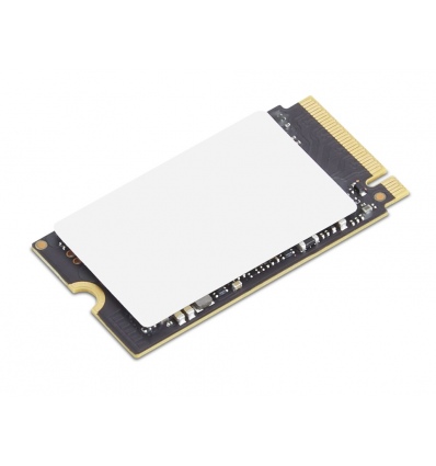 Lenovo ThinkPad/256GB/SSD/M.2 NVMe/Černá/1R
