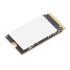 Lenovo ThinkPad/256GB/SSD/M.2 NVMe/Černá/1R