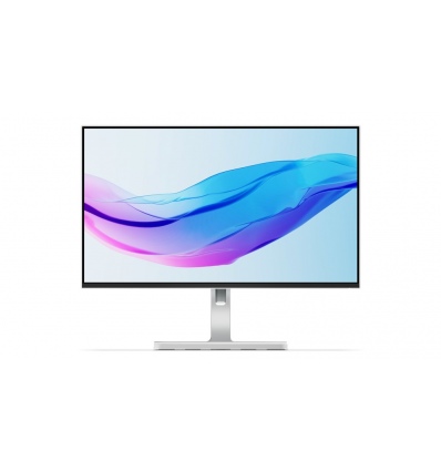 Lenovo/L24m-4A/23,8"/IPS/FHD/100Hz/1ms/Gray/3R