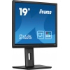 iiyama ProLite/B1980S-B1/19"/TN/1280x1024/75Hz/3ms/Black/3R