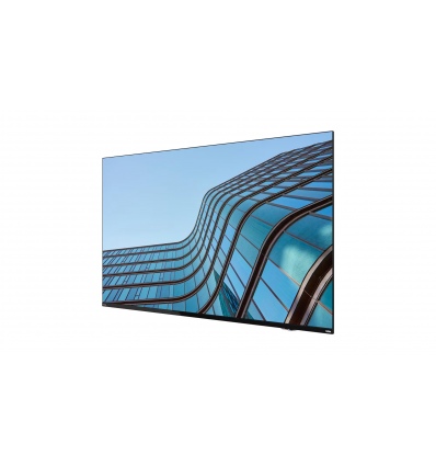 Lenovo ThinkViosion E55 54,6"/16:9/3840x2160/8ms