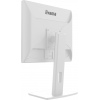 iiyama ProLite/B1980S-W1/19"/TN/1280x1024/75Hz/3ms/White/3R
