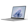 DEMO: MS Srfc Lptp Go 3 - i5/8/256/W11P, Platinum