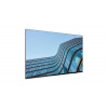 Lenovo ThinkViosion E55 54,6"/16:9/3840x2160/8ms