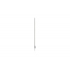 55" LG OLED 55EW5Q - FHD,600cd,transparent,18/7