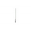 30" LG OLED 30EW5TP -HD,600cd,transparent,18/7
