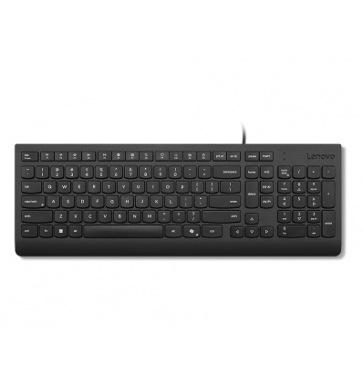 Lenovo Essential/Drátové USB-A/CZ-SK layout/Černá