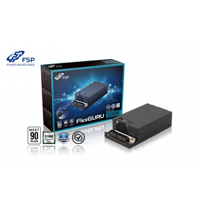 FSP Flex ATX FlexGURU 300, 80PLUS GOLD